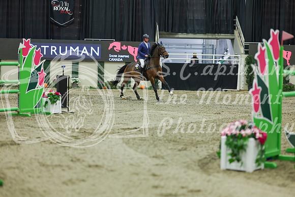 2025 - Shea - Royal West - Saturday October 25th - 12180