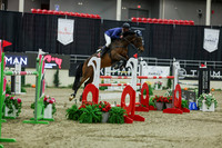 2025 - Shea - Royal West - Saturday October 25th - 12182