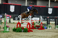 2025 - Shea - Royal West - Saturday October 25th - 12186