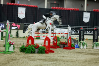 2025 - Shea - Royal West - Saturday October 25th - 12390