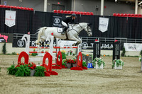 2025 - Shea - Royal West - Saturday October 25th - 12395