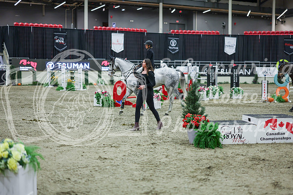 2025 - Shea - Royal West - Saturday October 25th - 14204