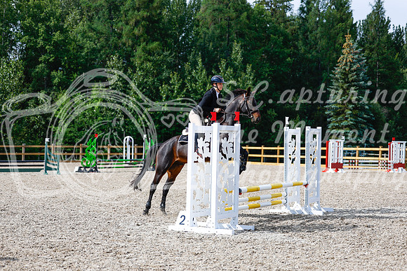 2025 - Haylee - Picco Horse Show - Thursday July 24th 01157