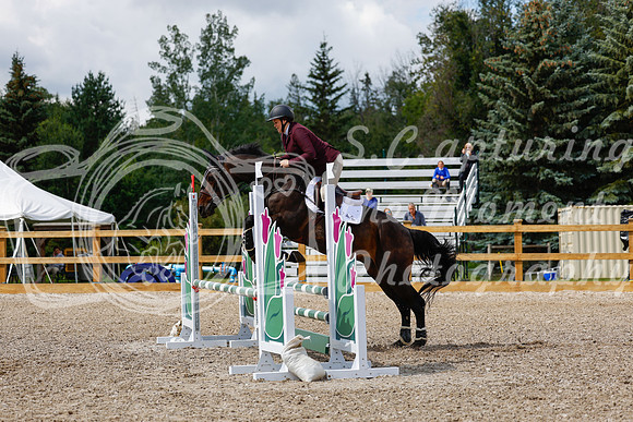 2025 - Haylee - Picco Horse Show - Sunday July 27th 03255