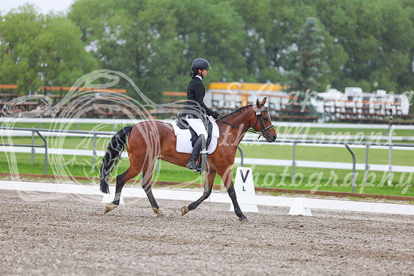 2025 - Dressage Festival - Sunday July 6th - 02861