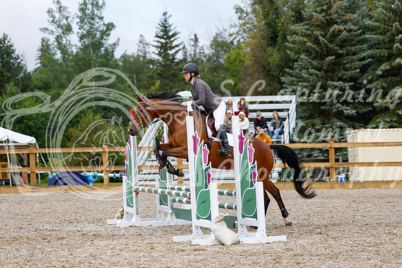 2025 - Haylee - Picco Horse Show - Sunday July 27th 01832