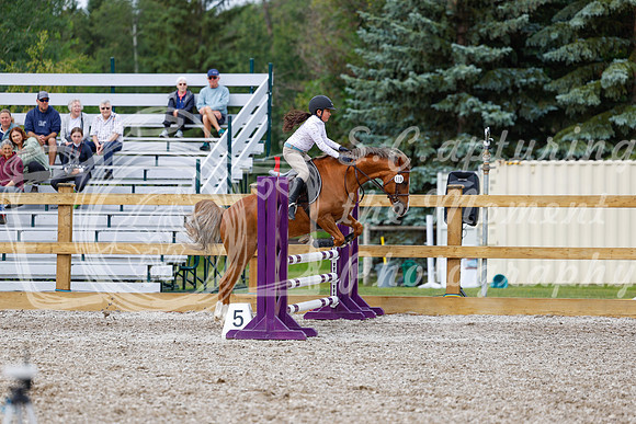 2025 - Haylee - Picco Horse Show - Friay July 25th 01661