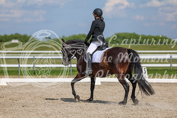 2025 - Dressage Festival - Saturday July 5th - 15240