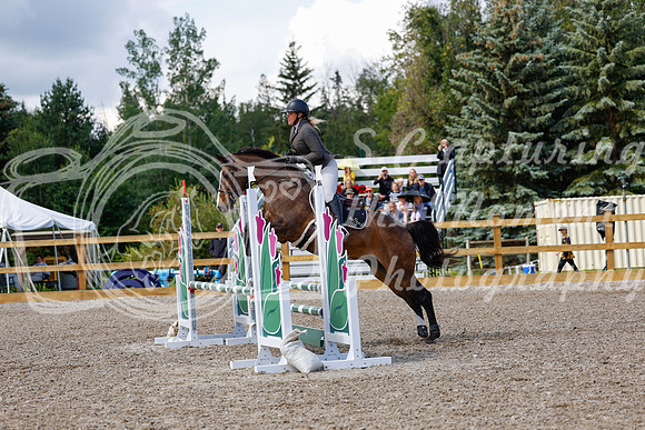 2025 - Haylee - Picco Horse Show - Sunday July 27th 02940