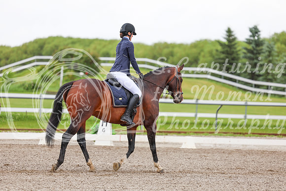 2025 - Dressage Festival - Sunday July 6th - 02133