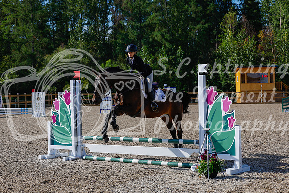 2025 - Haylee - Picco Horse Show - Thursday July 24th 00689