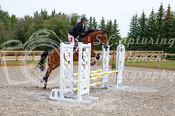 2025 - Haylee - Picco Horse Show - Friay July 25th 01939