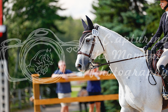 2025 - Haylee - Picco Horse Show - Saturday July 26th 07895