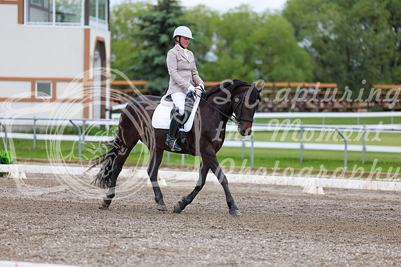 2025 - Dressage Festival - Sunday July 6th - 10450