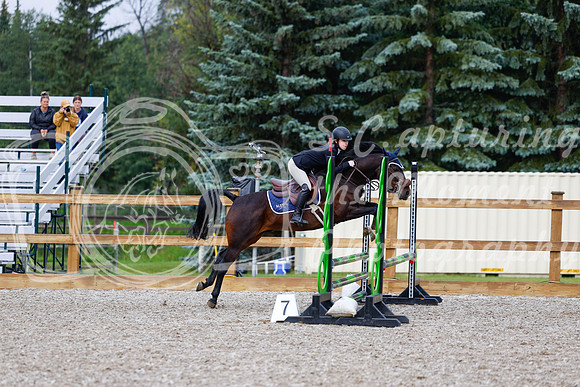 2025 - Haylee - Picco Horse Show - Sunday July 27th 01101