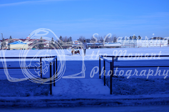 2025 - Winter Welcome - Thursday November 20th - 01679
