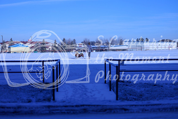 2025 - Winter Welcome - Thursday November 20th - 01680