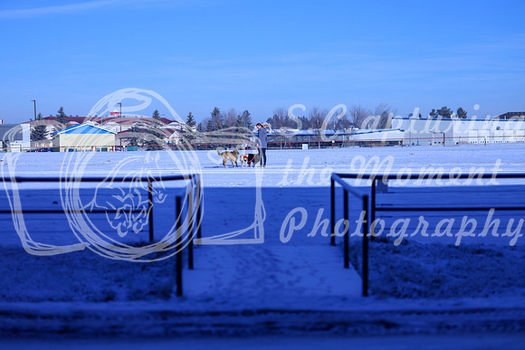 2025 - Winter Welcome - Thursday November 20th - 01688