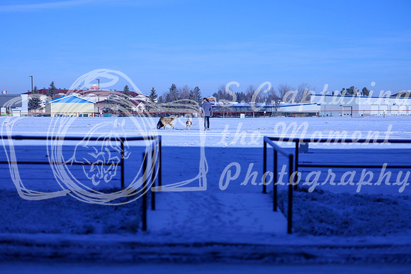 2025 - Winter Welcome - Thursday November 20th - 01689