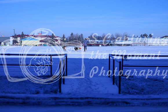 2025 - Winter Welcome - Thursday November 20th - 01693