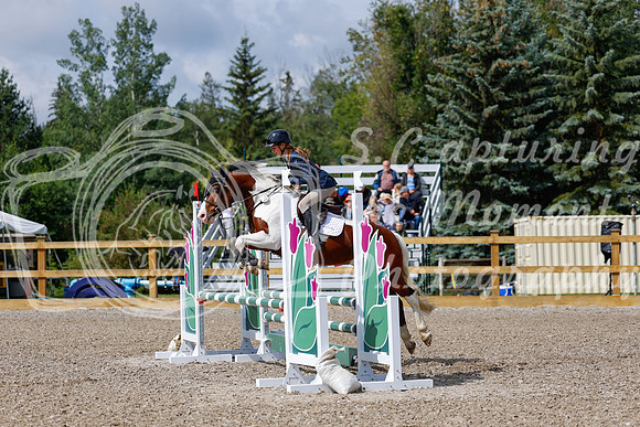 2025 - Haylee - Picco Horse Show - Sunday July 27th 02469