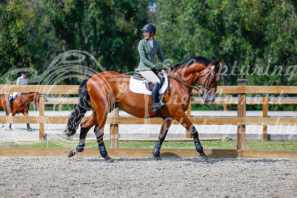 2025 - Haylee - Picco Horse Show - Saturday July 26th 07737