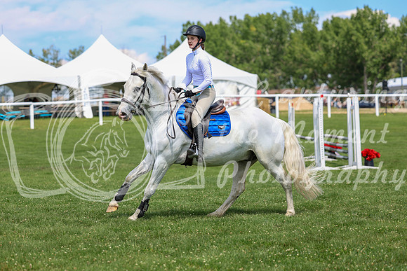2025 - Shea - Teesdale - Thursday July 24th - 03159