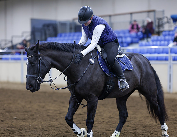 088A1172