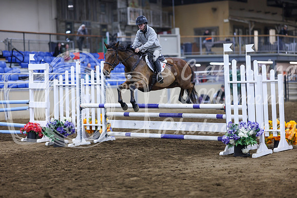 2025 - Winter Welcome - Saturday November 22nd - 06413