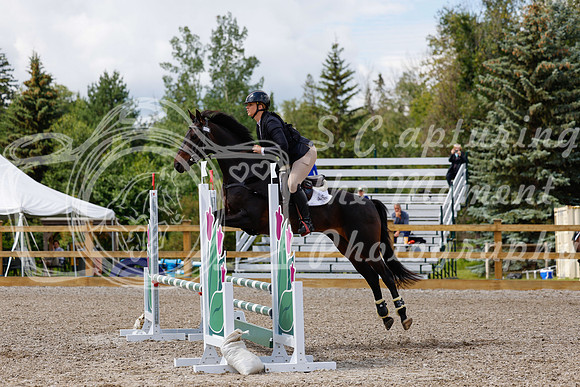2025 - Haylee - Picco Horse Show - Sunday July 27th 03388