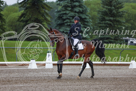2025 - Dressage Festival - Sunday July 6th - 00352