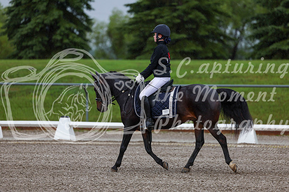 2025 - Dressage Festival - Sunday July 6th - 00020
