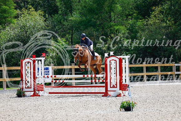 2025 - Haylee - Picco Horse Show - Sunday July 27th 04289