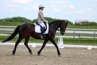 2025 - Dressage Festival - Saturday July 5th - 10679