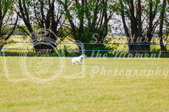 2025 - Haylee - Edmonton Classic - Friday, May 23rd - 00182