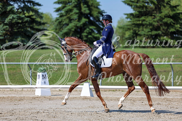 2025 - Dressage Festival - Saturday July 5th - 04256