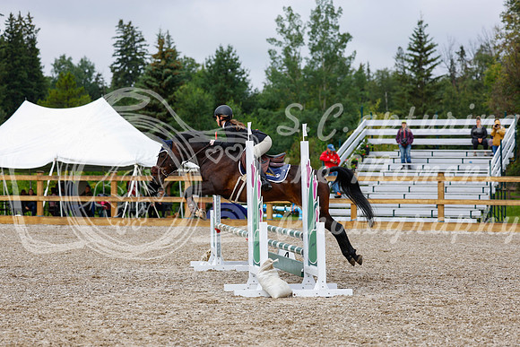 2025 - Haylee - Picco Horse Show - Sunday July 27th 01098