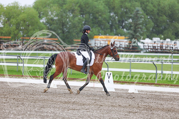 2025 - Dressage Festival - Sunday July 6th - 02860