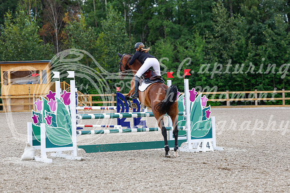 2025 - Haylee - Picco Horse Show - Sunday July 27th 04544