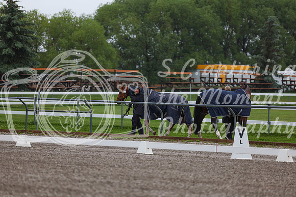 2025 - Dressage Festival - Sunday July 6th - 00162