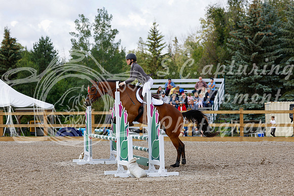 2025 - Haylee - Picco Horse Show - Sunday July 27th 02575