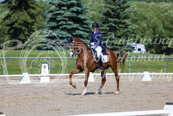 2025 - Dressage Festival - Saturday July 5th - 04241