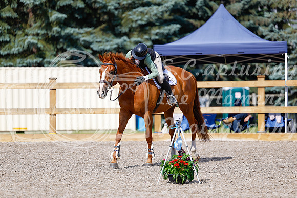 2025 - Haylee - Picco Horse Show - Thursday July 24th 01271