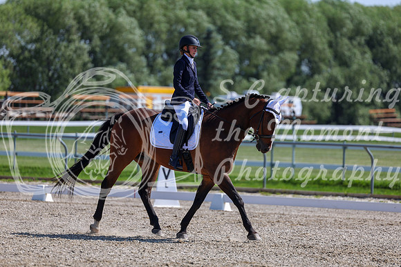 2025 - Dressage Festival - Saturday July 5th - 03984