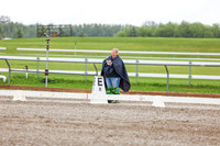 2025 - Dressage Festival - Sunday July 6th - 02204