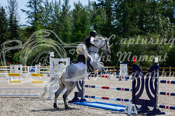2025 - Haylee - Picco Horse Show - Thursday July 24th 03981