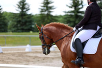 2025 - Dressage Festival - Saturday July 5th - 09310