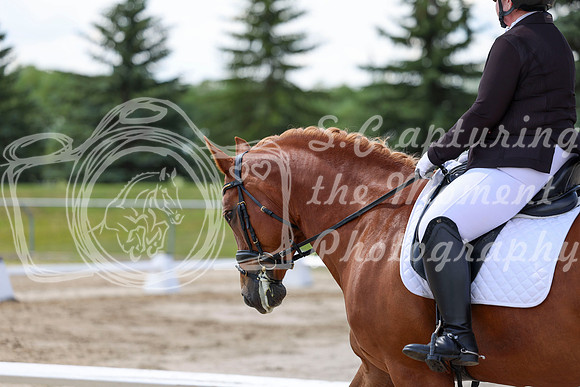 2025 - Dressage Festival - Saturday July 5th - 09310