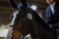 2025 - HJ Schooling - Sunday March 23rd - 1463