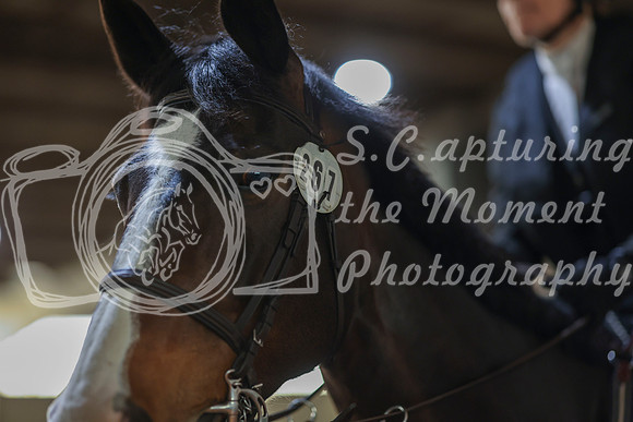 2025 - HJ Schooling - Sunday March 23rd - 1463